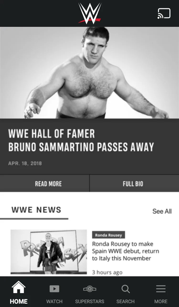Option 2: a native home screen with a black and white hero story about a WWE Hall of Famer, Read more and Full bio buttons, and a WWE News list below.